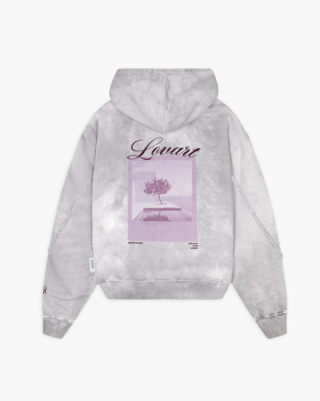 Hoodie gris efecto desgastado